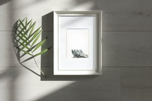 (Untitled)