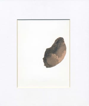 (Untitled)