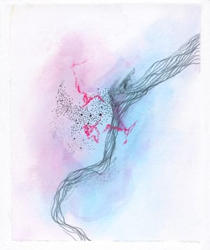 Pinks and Blues